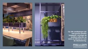 Rever Interieurprojecten-portfolio-duurzaam-kantoor