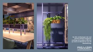 Rever Interieurprojecten-portfolio-duurzaam-kantoor